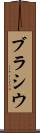 ブラシウ Scroll