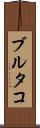 ブルタコ Scroll