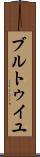ブルトゥイユ Scroll