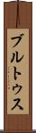 ブルトゥス Scroll