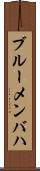 ブルーメンバハ Scroll