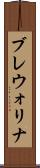 ブレウォリナ Scroll