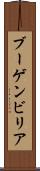 ブーゲンビリア Scroll