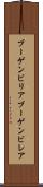 ブーゲンビリア Scroll