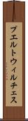 プエルトウィルチェス Scroll
