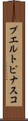 プエルトピナスコ Scroll