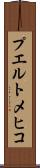プエルトメヒコ Scroll