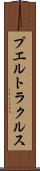 プエルトラクルス Scroll