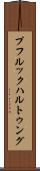 プフルックハルトゥング Scroll