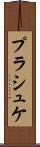 プラシュケ Scroll