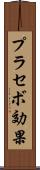 プラセボ効果 Scroll