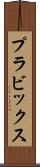 プラビックス Scroll