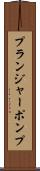 プランジャー・ポンプ Scroll