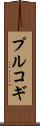 プルコギ Scroll