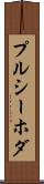 プルシーホダ Scroll