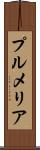プルメリア Scroll
