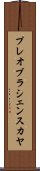 プレオブラシェンスカヤ Scroll