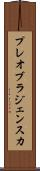 プレオブラジェンスカ Scroll