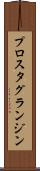 プロスタグランジン Scroll