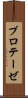 プロテーゼ Scroll