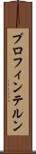 プロフィンテルン Scroll