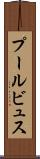 プールビュス Scroll