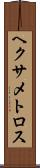 ヘクサメトロス Scroll