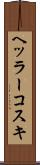 ヘッラーコスキ Scroll