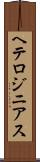 ヘテロジニアス Scroll
