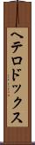 ヘテロドックス Scroll