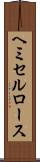 ヘミセルロース Scroll