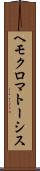 ヘモクロマトーシス Scroll