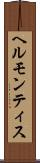 ヘルモンティス Scroll