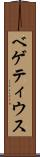 ベゲティウス Scroll