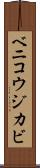 ベニコウジカビ Scroll
