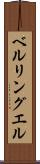 ベルリングエル Scroll
