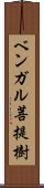 ベンガル菩提樹 Scroll