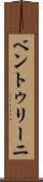 ベントゥリーニ Scroll