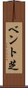 ベント芝 Scroll