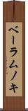 ベーラムノキ Scroll