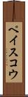 ペイスコウ Scroll