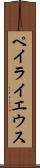 ペイライエウス Scroll
