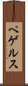 ペゲルス Scroll
