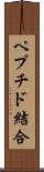ペプチド結合 Scroll