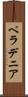 ペラデニア Scroll