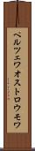 ペルツェワオストロウモワ Scroll
