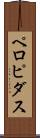 ペロピダス Scroll