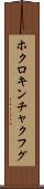 ホクロキンチャクフグ Scroll