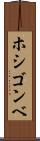 ホシゴンベ Scroll