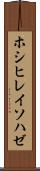 ホシヒレイソハゼ Scroll